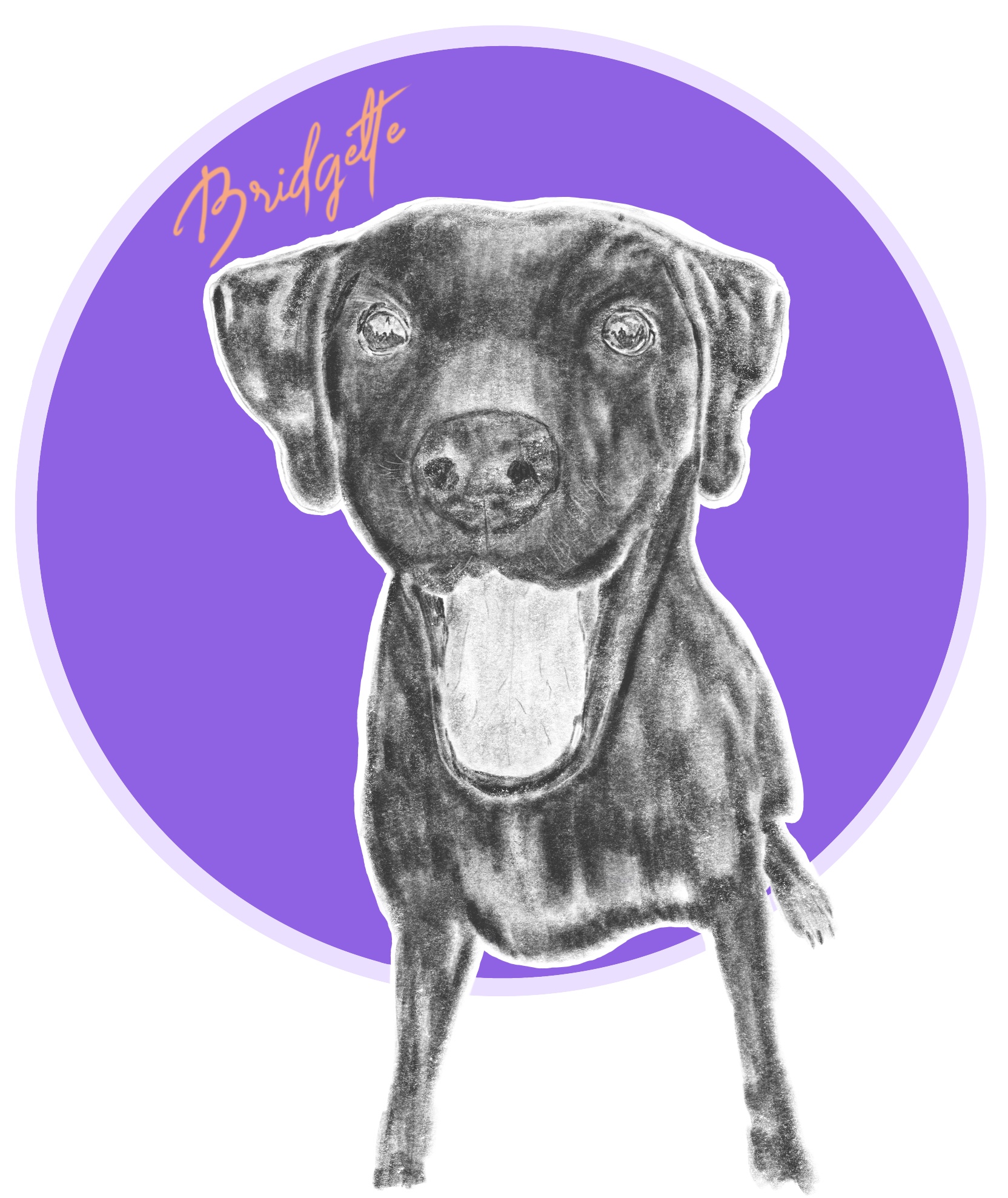 Custom Pet Portrait variation 1